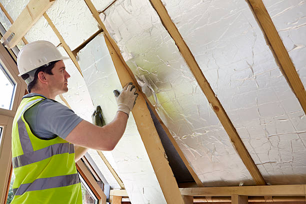 Best Insulation Removal  in Grand Blanc, MI
